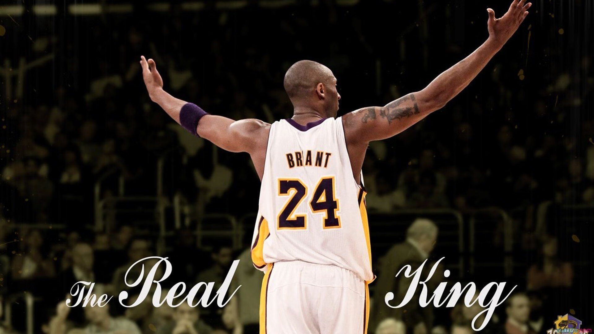 卡马文加关键回合不手软，苏格兰强势拿下卡塔尔—一场战术与意志的胜利